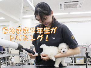 ２年生、子犬のお世話☆